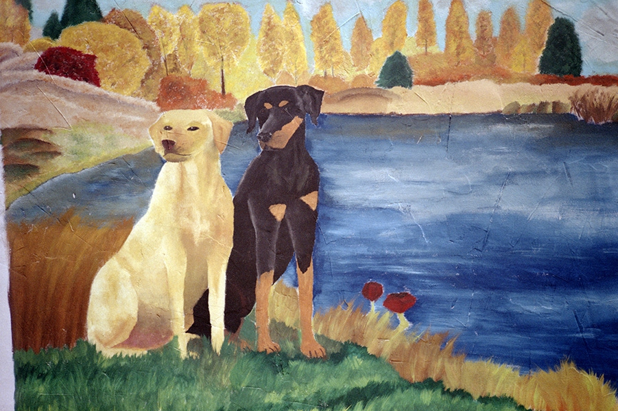 http://www.reset-studio.de/files/gimgs/th-25_two-dogs-near-the-lake_22690450479_o.jpg